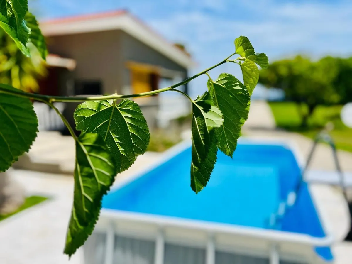 Hotel Gazonia Family Estate Skala  Pensjonat